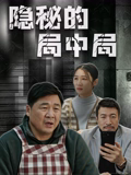 隐秘的局中局海报